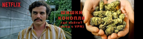 молекула духа Горно-Алтайск