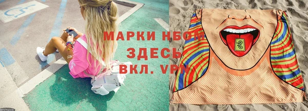 спиды Вяземский
