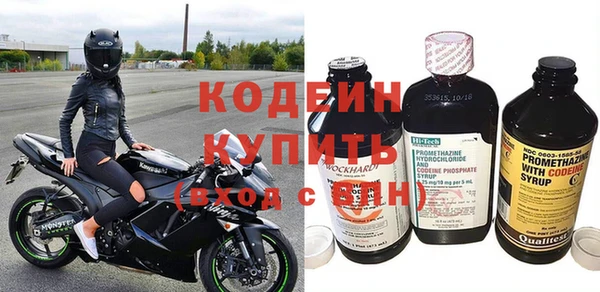 спиды Вяземский