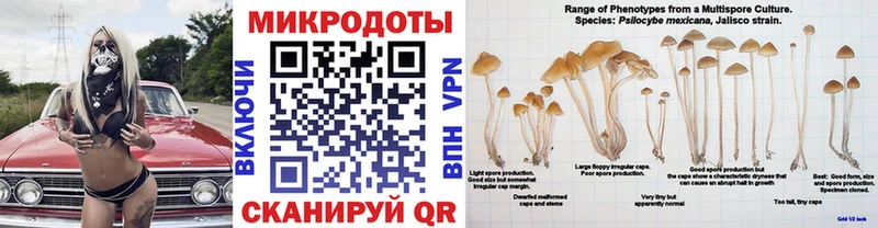 Галлюциногенные грибы мухоморы  Новосокольники 